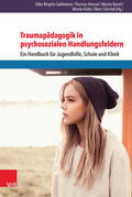 Gahleitner / Hensel / Baierl |  Traumapädagogik in psychosozialen Handlungsfeldern | eBook | Sack Fachmedien