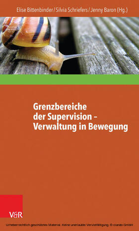 Bittenbinder / Baron / Schriefers |  Grenzbereiche der Supervision – Verwaltung in Bewegung | eBook | Sack Fachmedien