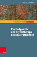 Rauchfleisch |  Psychodynamik und Psychotherapie dissozialer Störungen | eBook | Sack Fachmedien