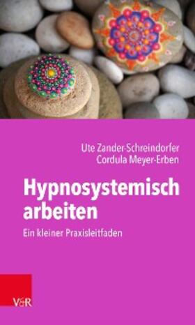 Zander-Schreindorfer / Meyer-Erben | Hypnosystemisch arbeiten: Ein kleiner Praxisleitfaden | E-Book | sack.de