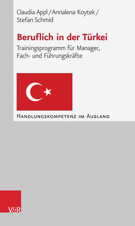 Appl / Koytek / Schmid | Beruflich in der Türkei | E-Book | sack.de