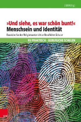 EIBOR, Ev. Institut f. berufsorient. Religionspädagogik Universität Tübingen |  "Und siehe, es war schön bunt!" | eBook | Sack Fachmedien