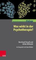 Strauß / Willutzki / Britten |  Was wirkt in der Psychotherapie? | eBook | Sack Fachmedien