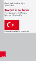 Appl / Koytek / Schmid |  Beruflich in der Türkei | eBook | Sack Fachmedien