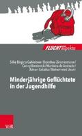 Zimmermann / Gahleitner / de Andrade |  Minderjährige Geflüchtete in der Jugendhilfe | eBook | Sack Fachmedien