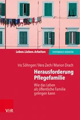 Söhngen / Zech / Drach |  Herausforderung Pflegefamilie | eBook | Sack Fachmedien