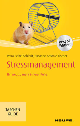 Schlerit / Fischer | Stressmanagement | E-Book | sack.de