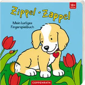  Zippel-Zappel | Buch |  Sack Fachmedien