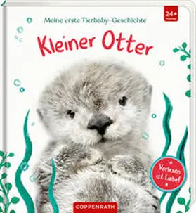 Wood |  Meine erste Tierbaby-Geschichte: Kleiner Otter | Buch |  Sack Fachmedien