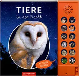 Baier |  Tiere in der Nacht | Buch |  Sack Fachmedien