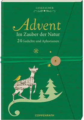 Niessen |  Briefbuch - Advent im Zauber der Natur | Sonstiges |  Sack Fachmedien