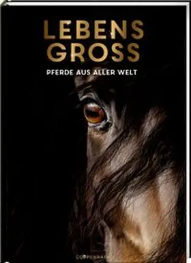 Niessen |  Lebensgroß | Buch |  Sack Fachmedien