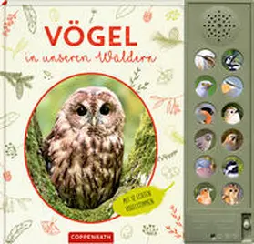 Haag |  Vögel in unseren Wäldern | Buch |  Sack Fachmedien
