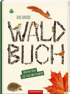 Oftring / Haag | Das große Waldbuch | Buch | 978-3-649-65600-5 | www.sack.de