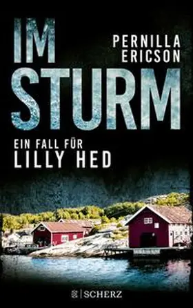 Ericson |  Im Sturm | Buch |  Sack Fachmedien