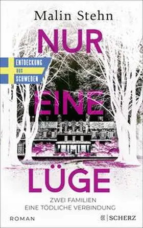 Stehn |  Nur eine Lüge - Zwei Familien, eine tödliche Verbindung | Buch |  Sack Fachmedien