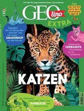 van Treeck | GEOlino Extra / GEOlino extra 117/2026 - Katzen | Buch | 978-3-652-01550-9 | www.sack.de