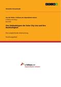 Kronschnabl |  Vier Gebäudetypen der Solar City Linz und ihre Nachhaltigkeit | Buch |  Sack Fachmedien