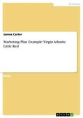 Carter |  Marketing Plan Example: Virgin Atlantic Little Red | Buch |  Sack Fachmedien