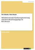Schulze / Busch |  Mehrdimensionale Kundensegmentierung und deren Beziehungsgefüge im B2C-Bereich | eBook | Sack Fachmedien