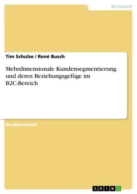 Schulze / Busch |  Mehrdimensionale Kundensegmentierung und deren Beziehungsgefüge im B2C-Bereich | Buch |  Sack Fachmedien