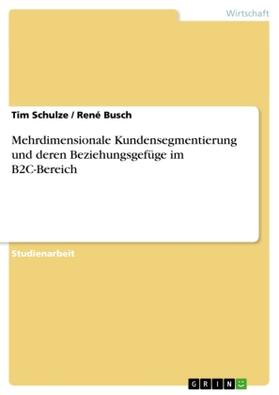 Schulze / Busch | Mehrdimensionale Kundensegmentierung und deren Beziehungsgefüge im B2C-Bereich | Buch | 978-3-656-47416-6 | sack.de