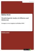 Hirsch |  Morphologische Analyse & Effizienz und Effektivität | Buch |  Sack Fachmedien