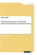Laufer |  Mitarbeitermotivation. Immaterielle Motivationsinstrumente und Anreizsysteme | Buch |  Sack Fachmedien