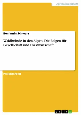 Schwarz |  Waldbrände in den Alpen. Die Folgen für Gesellschaft und Forstwirtschaft | eBook | Sack Fachmedien