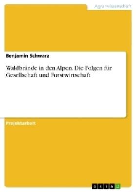 Schwarz |  Waldbrände in den Alpen. Die Folgen für Gesellschaft und Forstwirtschaft | Buch |  Sack Fachmedien