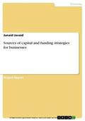 Javaid |  Sources of capital and funding strategies for businesses | eBook | Sack Fachmedien