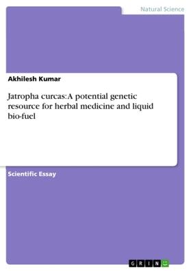 Kumar |  Jatropha curcas: A potential genetic resource for herbal medicine and liquid bio-fuel | Buch |  Sack Fachmedien