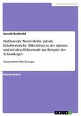 Bechtold |  Einfluss der Meereshöhe auf die lithobiontische Mikrobiota in der alpinen und nivalen Höhenstufe am Beispiel des Schrankogel | eBook | Sack Fachmedien