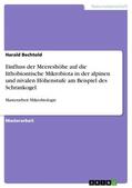 Bechtold |  Einfluss der Meereshöhe auf die lithobiontische Mikrobiota in der alpinen und nivalen Höhenstufe am Beispiel des Schrankogel | Buch |  Sack Fachmedien