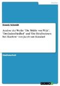 Schmidt |  Analyse der Werke "Die Mühle von Wijk¿, "Der Judenfriedhof¿ und "Die Bleichwiesen bei Haarlem¿ von Jacob van Ruisdael | Buch |  Sack Fachmedien
