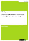 Wagner |  Derivation im Spanischen. Die Bedeutung der Präfigierung in der Wortbildung | Buch |  Sack Fachmedien