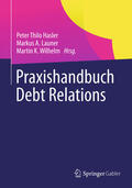 Hasler / Launer / Wilhelm |  Praxishandbuch Debt Relations | eBook | Sack Fachmedien