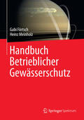 Förtsch / Meinholz |  Handbuch Betrieblicher Gewässerschutz | eBook | Sack Fachmedien