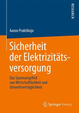 Praktiknjo | Sicherheit der Elektrizitätsversorgung | Buch | 978-3-658-04343-8 | sack.de