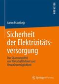 Praktiknjo |  Sicherheit der Elektrizitätsversorgung | Buch |  Sack Fachmedien