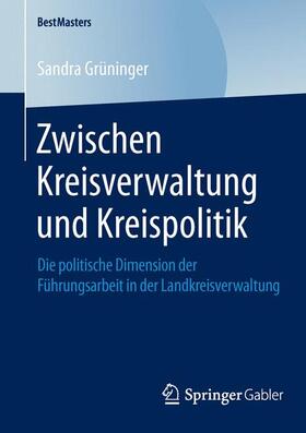Grüninger |  Zwischen Kreisverwaltung und Kreispolitik | Buch |  Sack Fachmedien