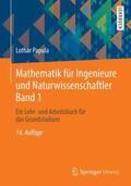 Papula |  Mathematik für Ingenieure und Naturwissenschaftler Band 1 | Buch |  Sack Fachmedien