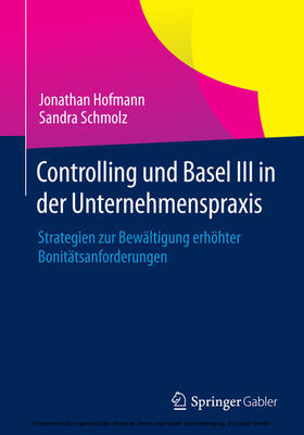 Hofmann / Schmolz | Controlling und Basel III in der Unternehmenspraxis | E-Book | sack.de