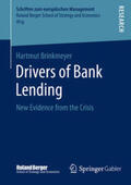 Brinkmeyer |  Drivers of Bank Lending | Buch |  Sack Fachmedien