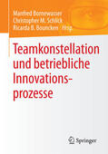 Bornewasser / Schlick / Bouncken |  Teamkonstellation und betriebliche Innovationsprozesse | eBook | Sack Fachmedien