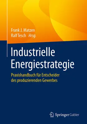 Matzen / Tesch | Industrielle Energiestrategie | E-Book | www.sack.de