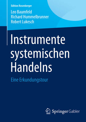 Baumfeld / Hummelbrunner / Lukesch | Instrumente systemischen Handelns | E-Book | sack.de