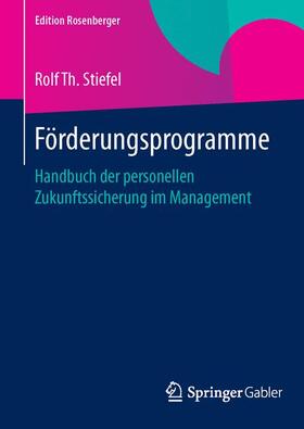 Stiefel | Förderungsprogramme | Buch | 978-3-658-07943-7 | sack.de