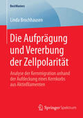 Brochhausen |  Die Aufprägung und Vererbung der Zellpolarität | Buch |  Sack Fachmedien