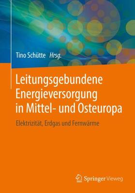 Schütte / Dvorský / Borozdina | Leitungsgebundene Energieversorgung in Mittel- und Osteuropa | Buch | 978-3-658-11586-9 | sack.de